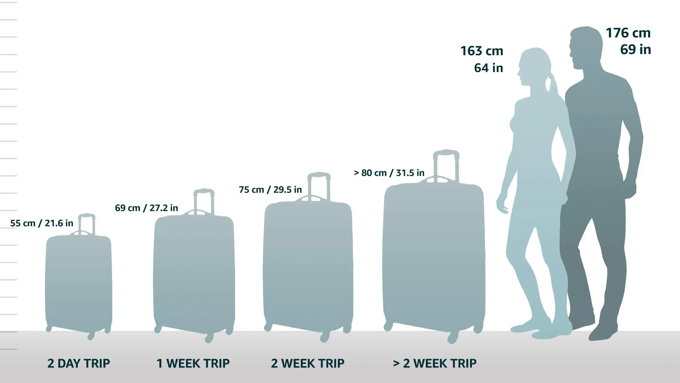 Athalon Hybrid Travelers 29" 2-Wheel Large Luggage