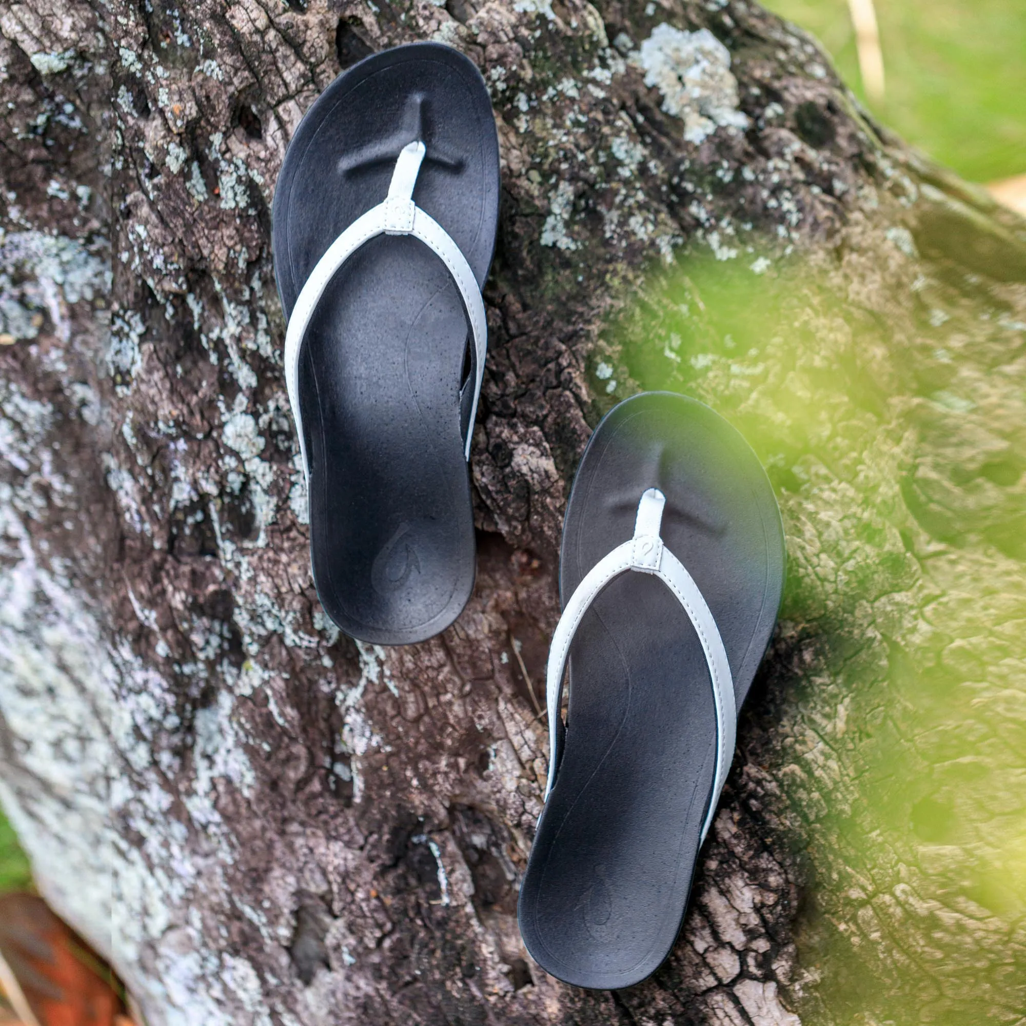 Ho'ōpio - White / Onyx
